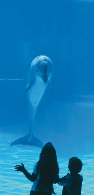 Oltremare, Riccione foto di Archivio fotografico Parco Oltremare