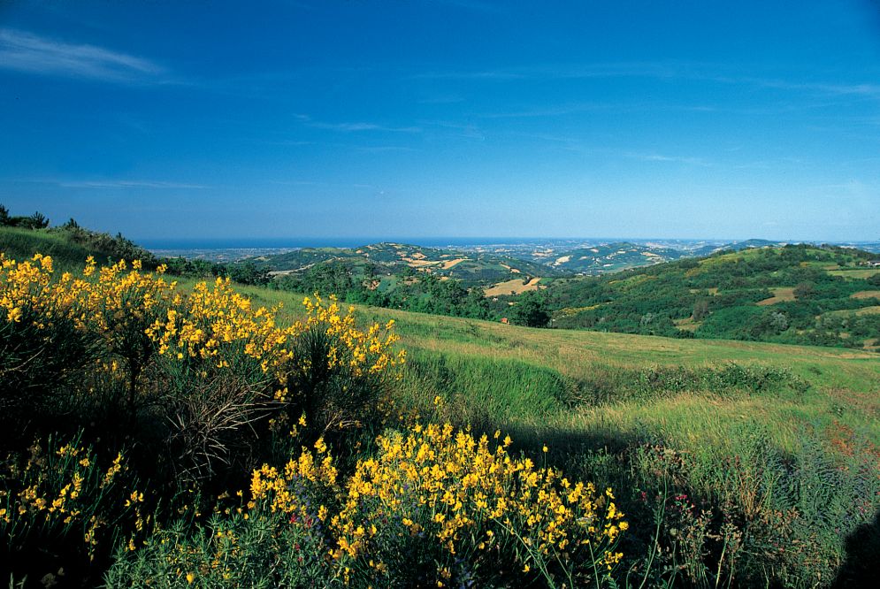 dalla collina, Montecolombo Foto(s) von R. Masi