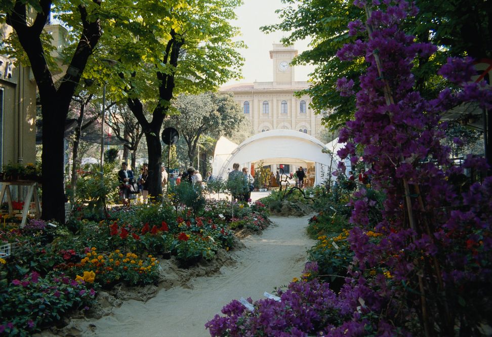 Cattolica in fiore photos de T. Mosconi