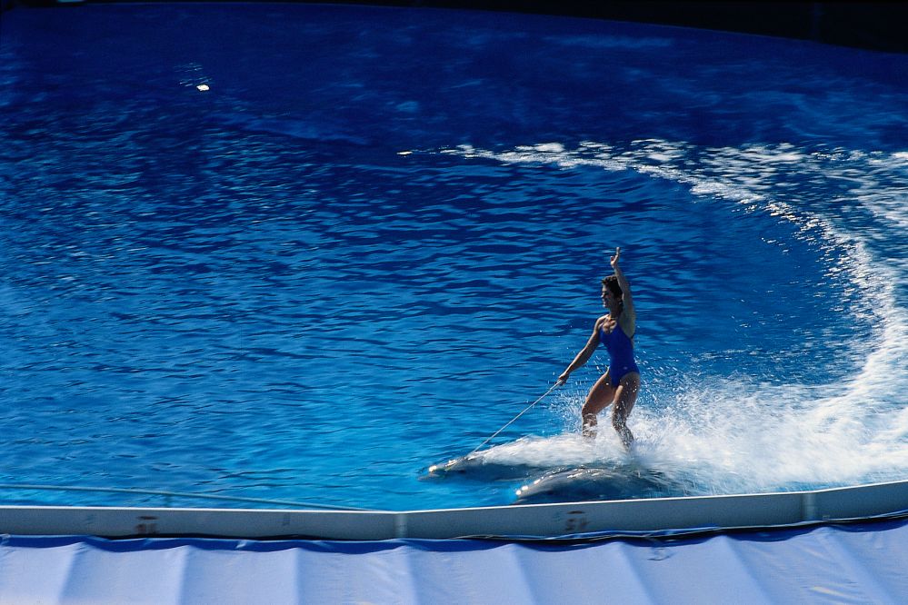 Rimini Dolphinarium photo by S. di Bartolo