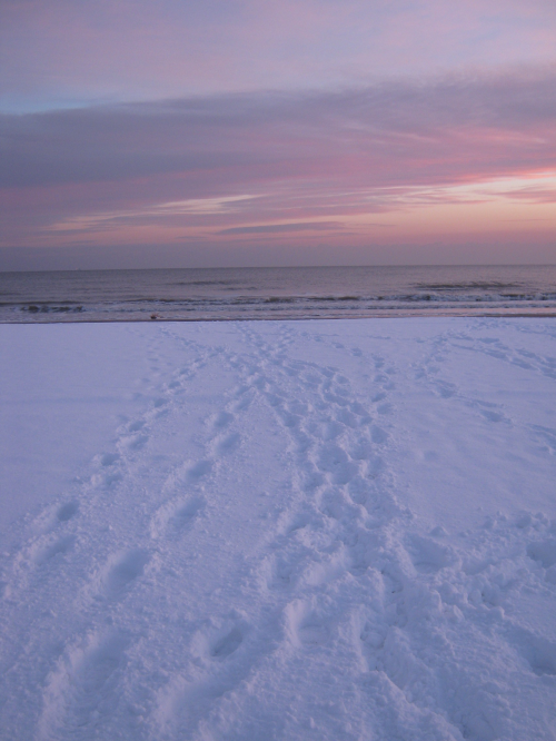 Rimini, il mare d'inverno photos de L. Pollio