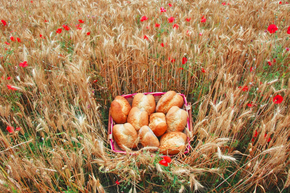 festa del pane, Maiolo foto di Archivio Provincia di Rimini