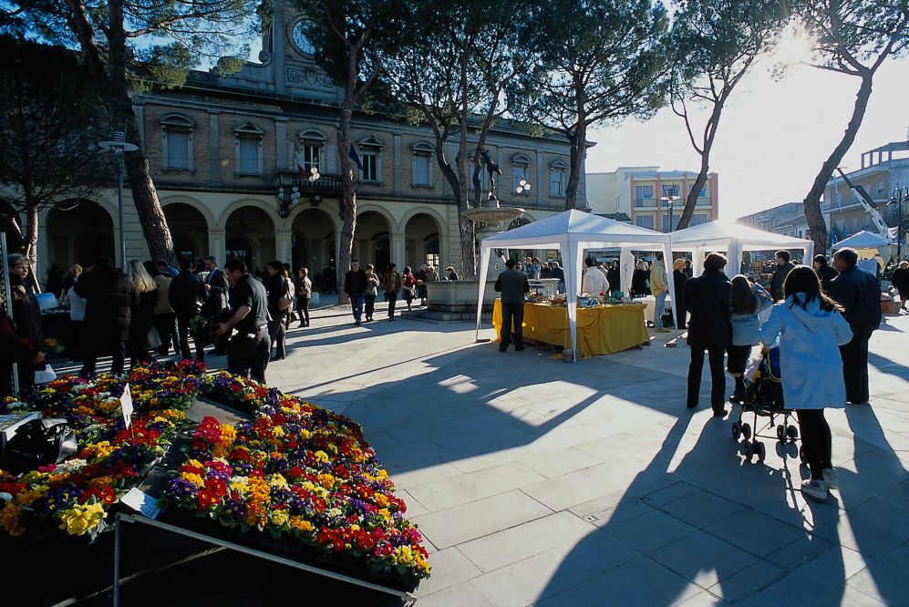 fair of St. Gregory, Morciano di Romagna photo by T. Mosconi