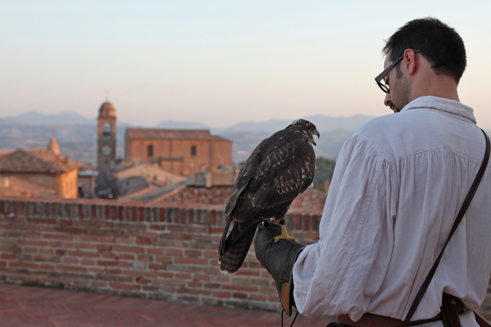 Palio del Daino, Mondaino foto di PH. Paritani