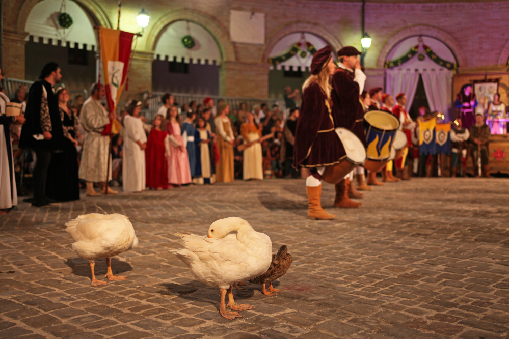 Palio del Daino, Mondaino photo by PH. Paritani