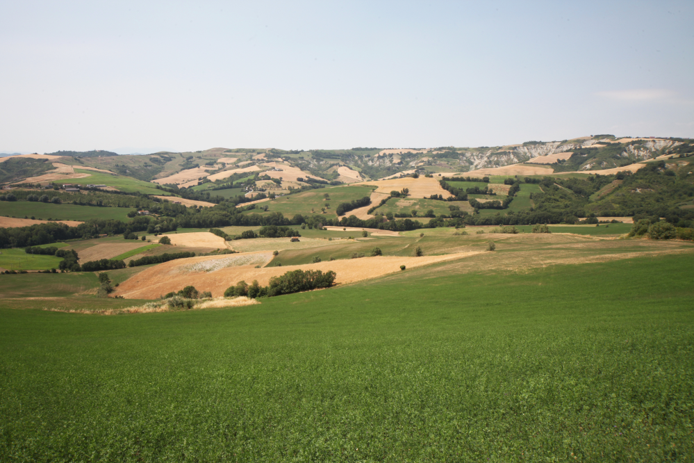 Countryside, Mondaino photo by Turci