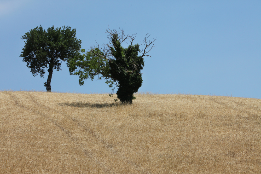 Campagna, Mondaino Foto(s) von PH. Paritani