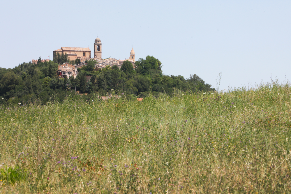 Countryside, Mondaino photo by PH. Paritani