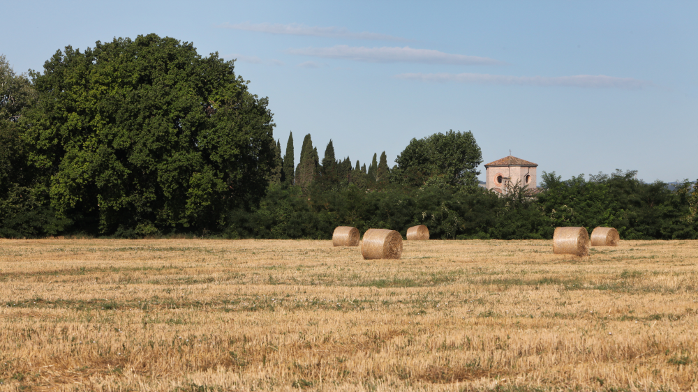 Campagna, Santarcangelo di Romagna foto di PH. Paritani