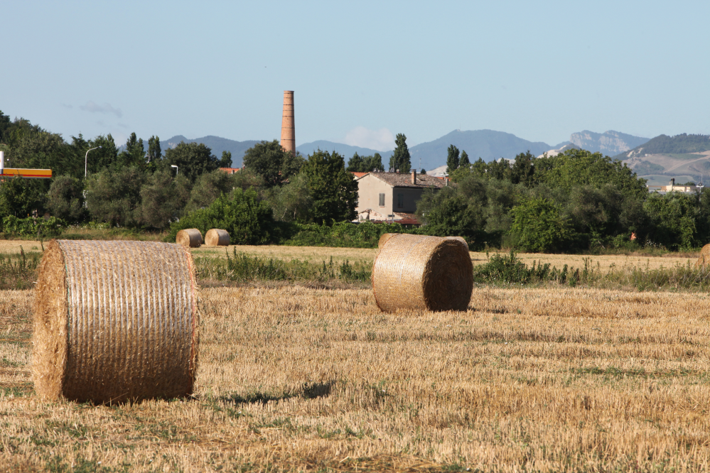 Campagna, Santarcangelo di Romagna Foto(s) von PH. Paritani