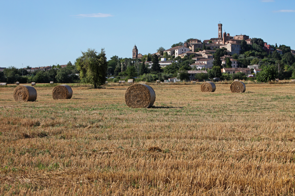 Campagna, Santarcangelo di Romagna photos de PH. Paritani