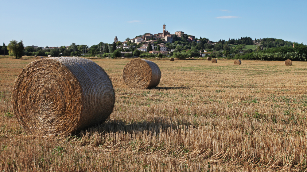 Countryside, Santarcangelo di Romagna photo by PH. Paritani