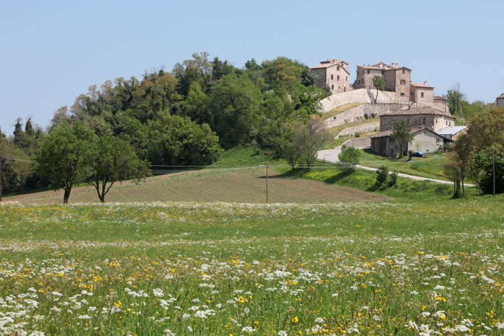 surroundings of Novafeltria photo by PH. Paritani