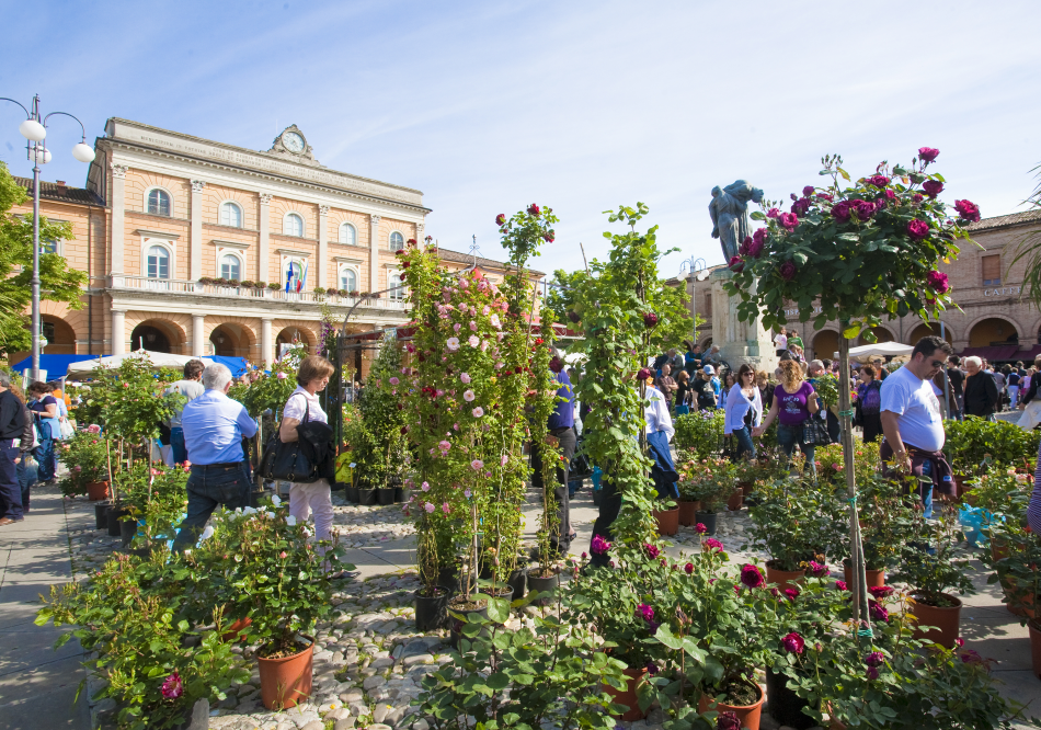 balconi fioriti, Santarcangelo di Romagna photos de PH. Paritani
