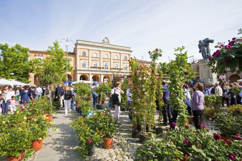 balconies in bloom, Santarcangelo di Romagna photo by PH. Paritani