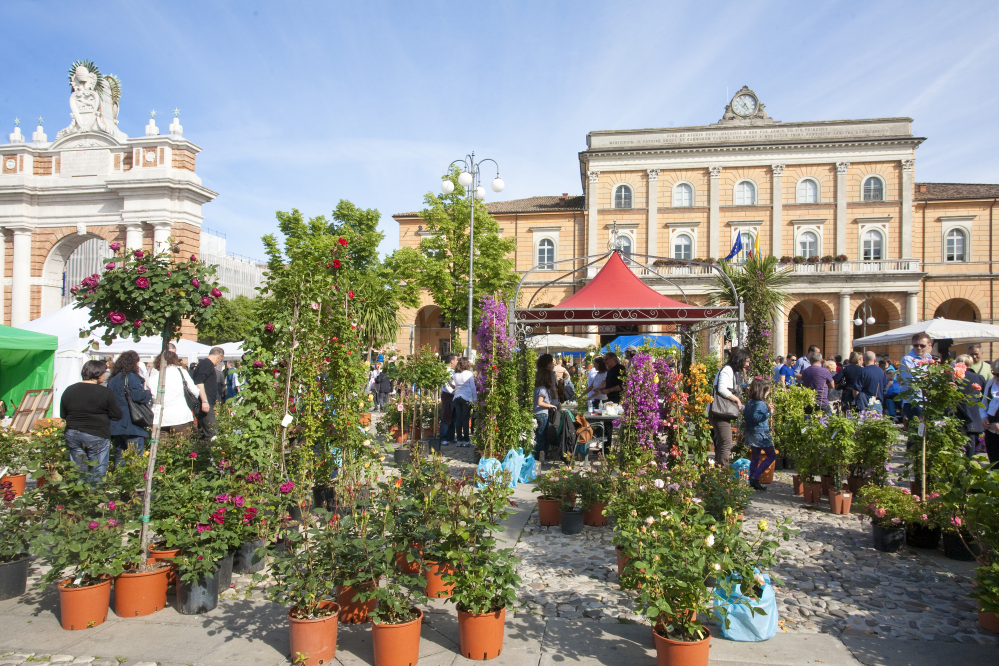 balconies in bloom, Santarcangelo di Romagna photo by PH. Paritani