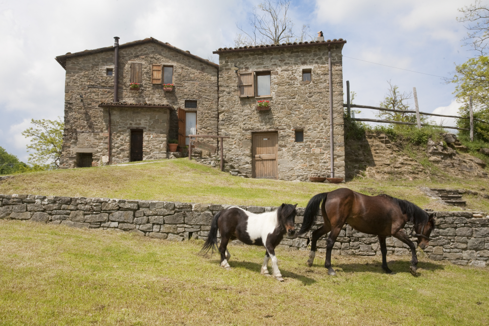 Sant'Agata Feltria, agriturismo foto di PH. Paritani