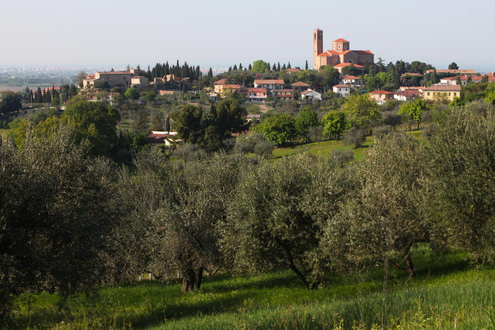 Vista su Coriano foto di PH. Paritani