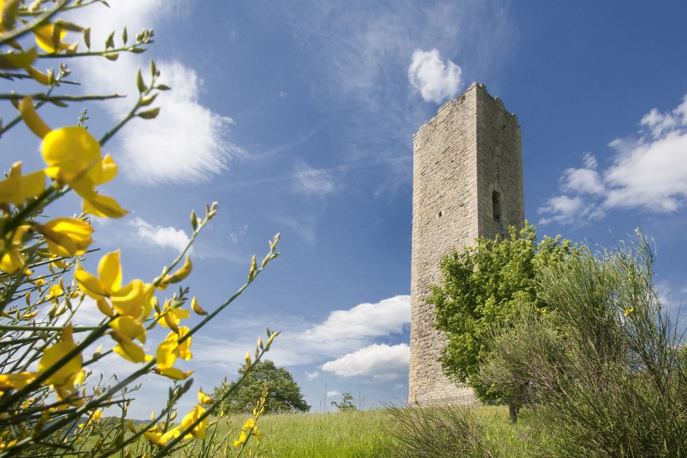 Pennabilli, torre di Bascio foto di PH. Paritani
