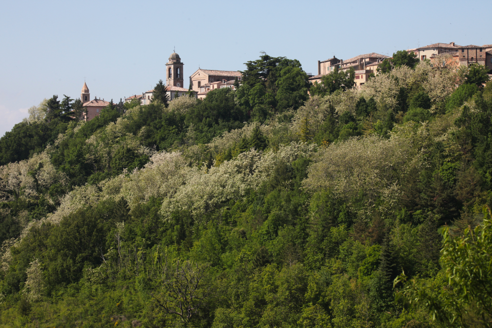 Countryside, Mondaino photo by PH. Paritani