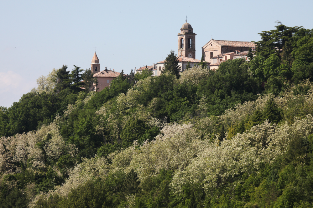 Campagna, Mondaino foto di PH. Paritani