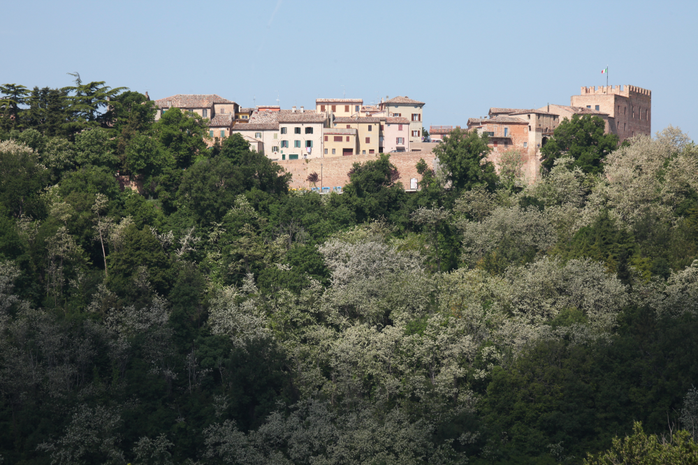 Panorama, Mondaino Foto(s) von PH. Paritani