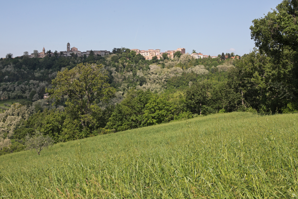 Campagna, Mondaino foto di PH. Paritani