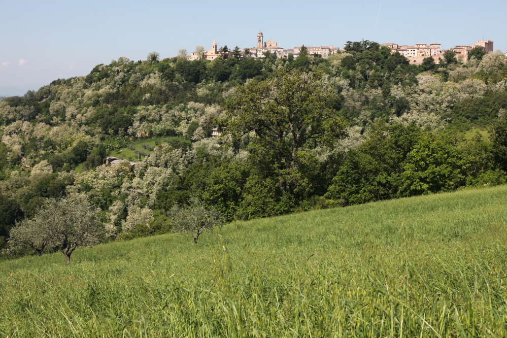 Campagna, Mondaino foto di PH. Paritani