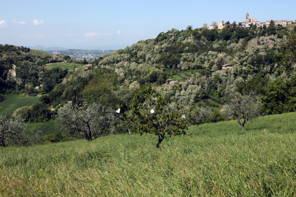 Countryside, Mondaino photo by PH. Paritani