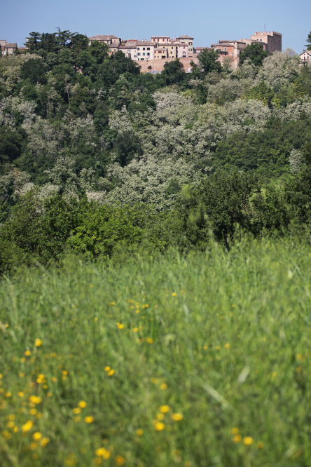 Panorama campagna, Mondaino foto di PH. Paritani