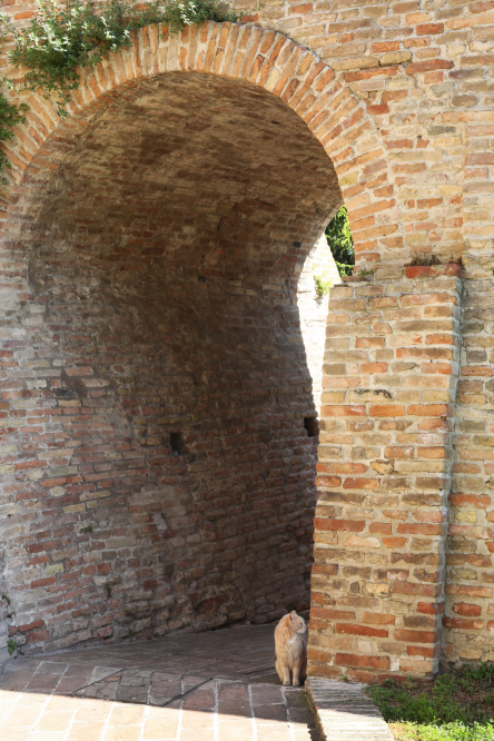 Montegridolfo Foto(s) von PH. Paritani