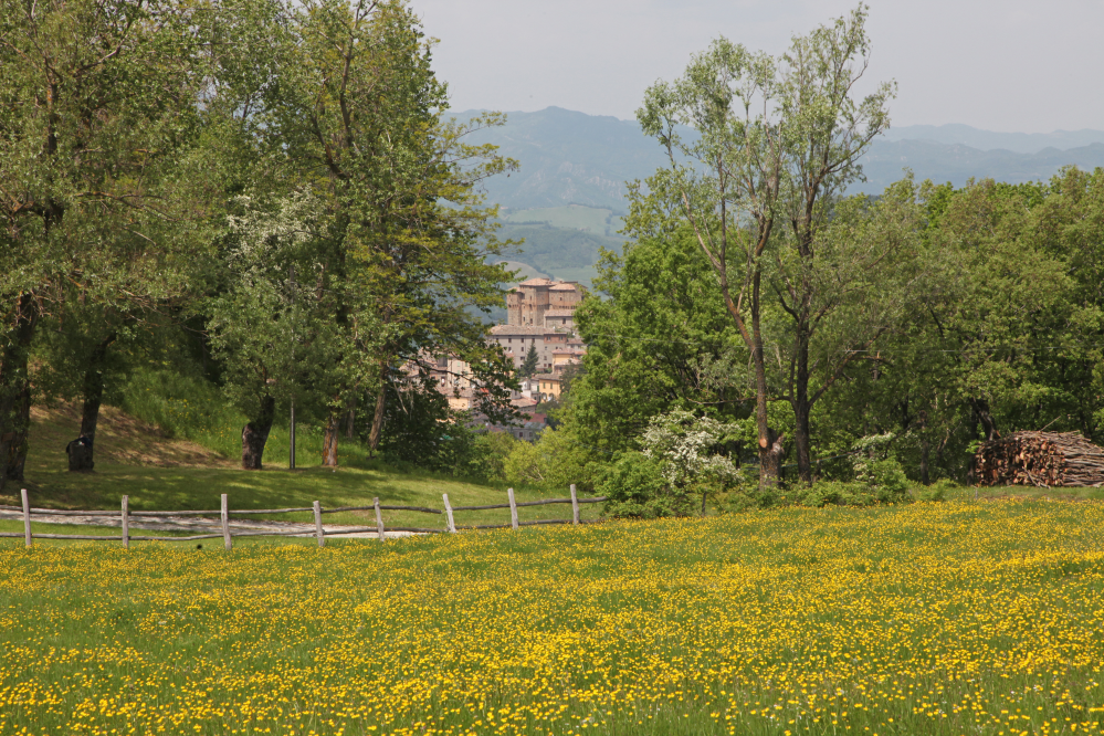 Sant'Agata Feltria, panorama Foto(s) von PH. Paritani