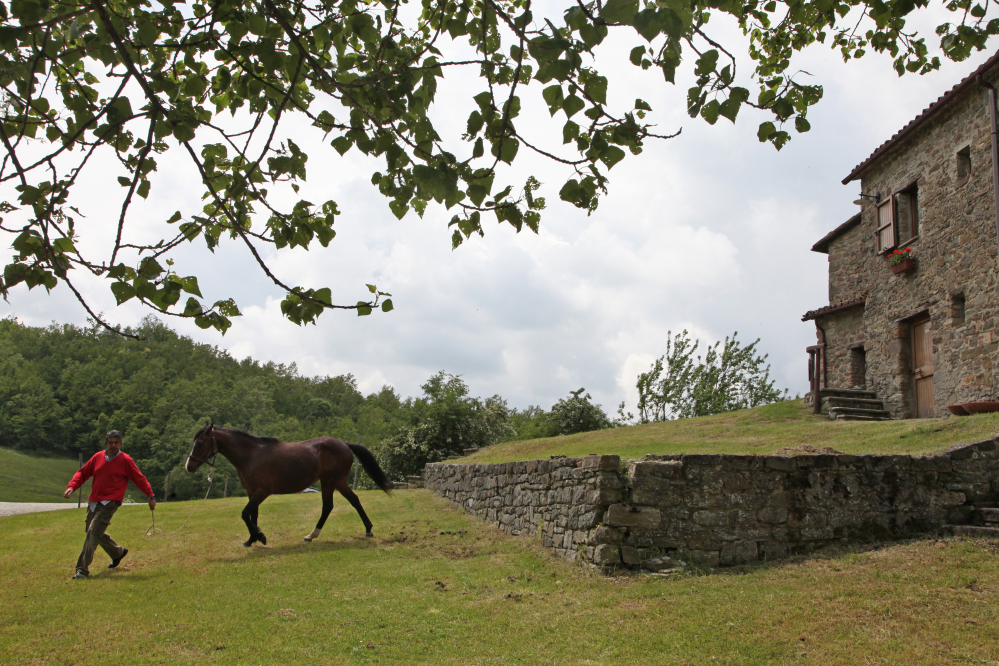 Sant'Agata Feltria, agriturismo foto di PH. Paritani