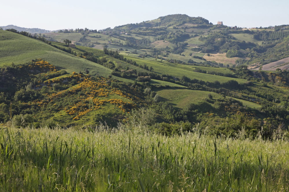 Hills, Mondaino photo by PH. Paritani