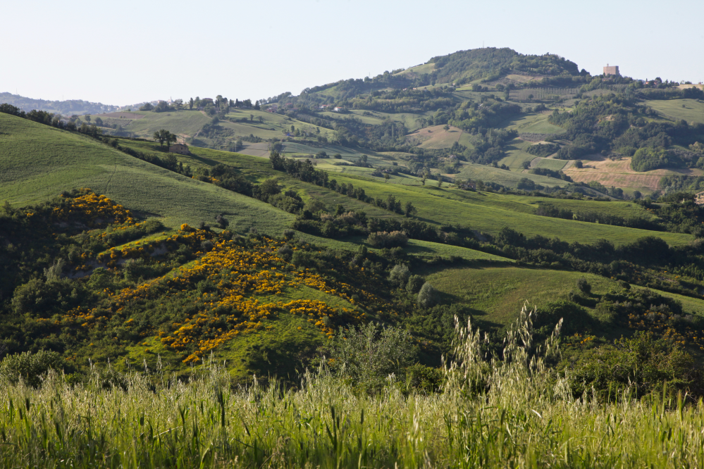 Colline, Mondaino foto di PH. Paritani