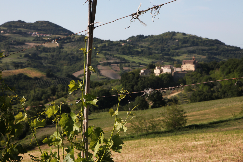 Colline, Mondaino foto di PH. Paritani