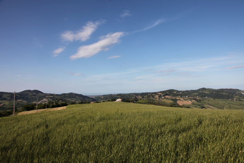 Colline, Mondaino foto di PH. Paritani