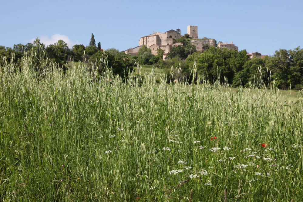 Sant'Agata Feltria, panorama del borgo di Petrella Guidi foto di PH. Paritani