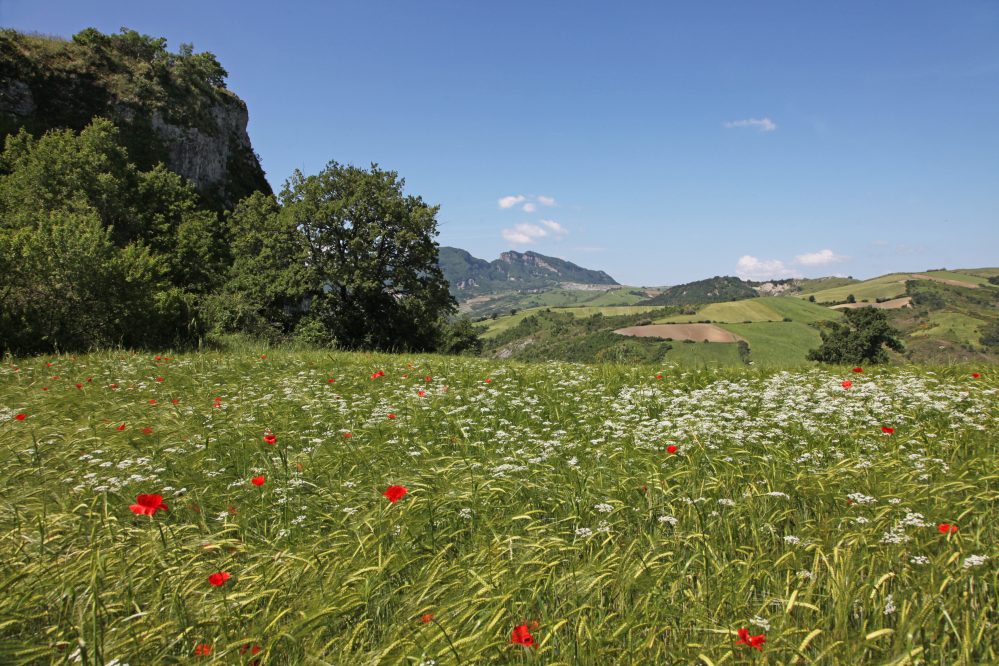 Novafeltria, Marecchia valley photo by PH. Paritani