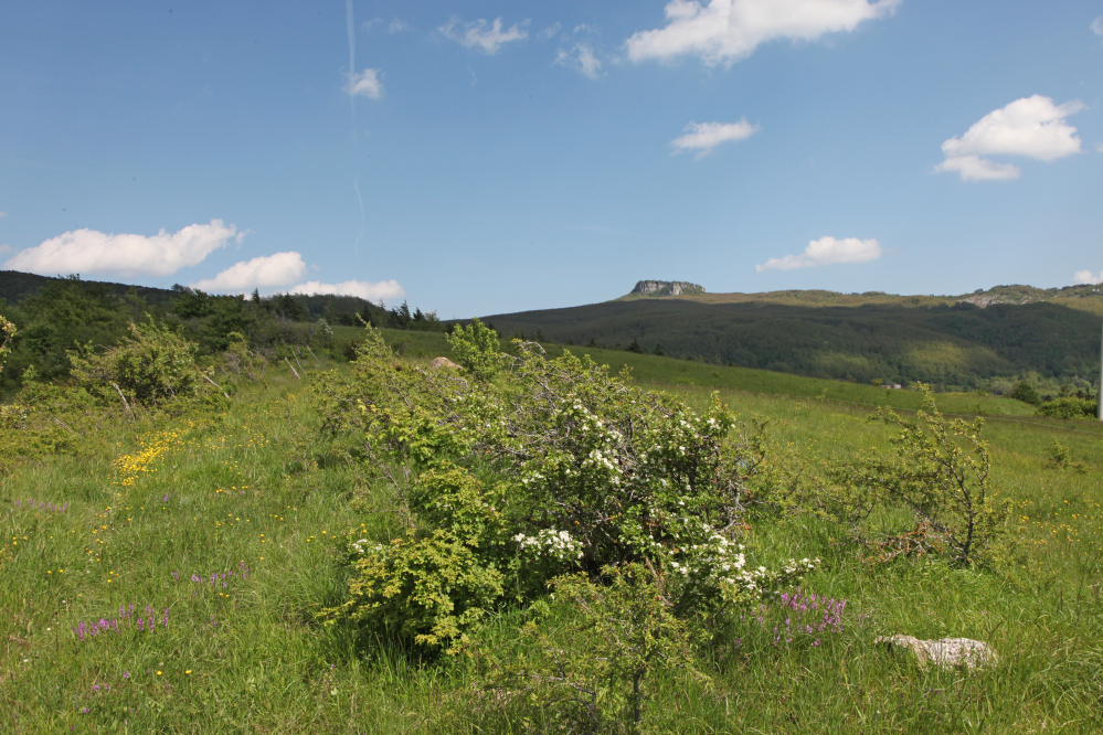 Pennabilli, panorama della vallata photos de PH. Paritani