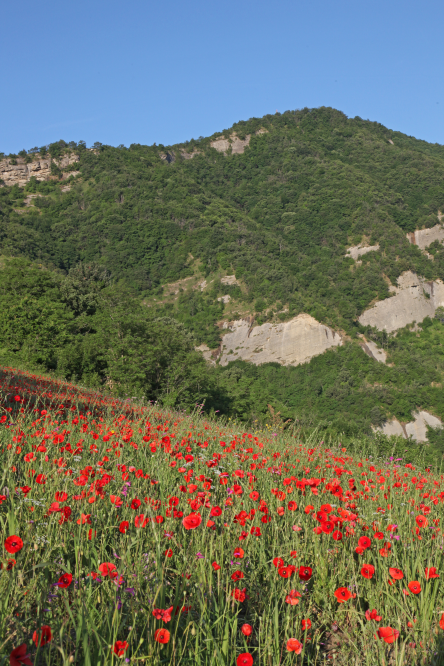 Talamello, la campagna foto di PH. Paritani