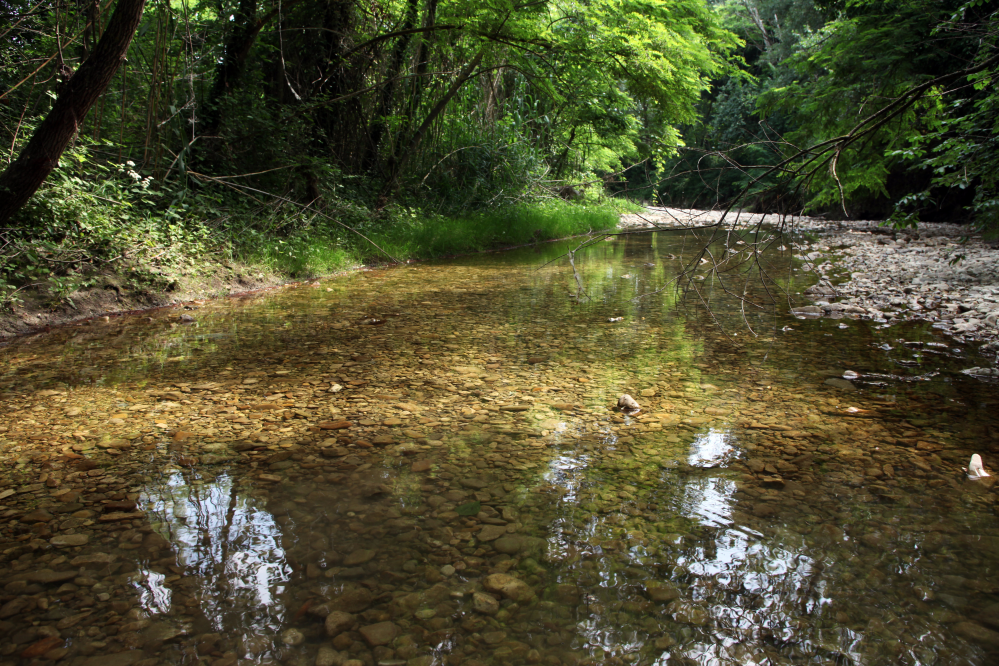 il fiume Marano, Coriano Foto(s) von PH. Paritani