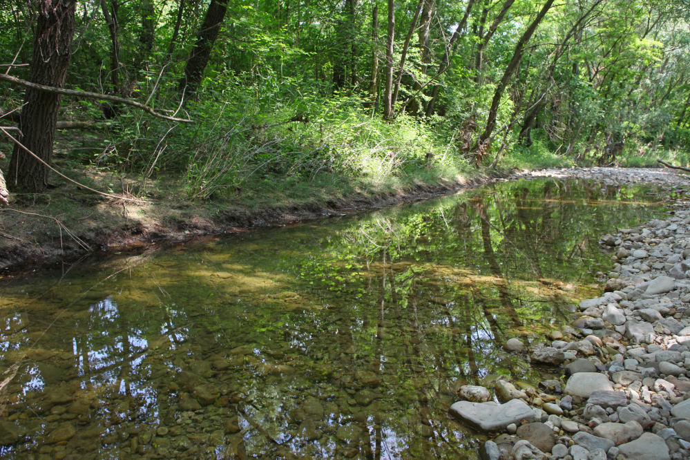 the river Marano, Coriano photo by PH. Paritani