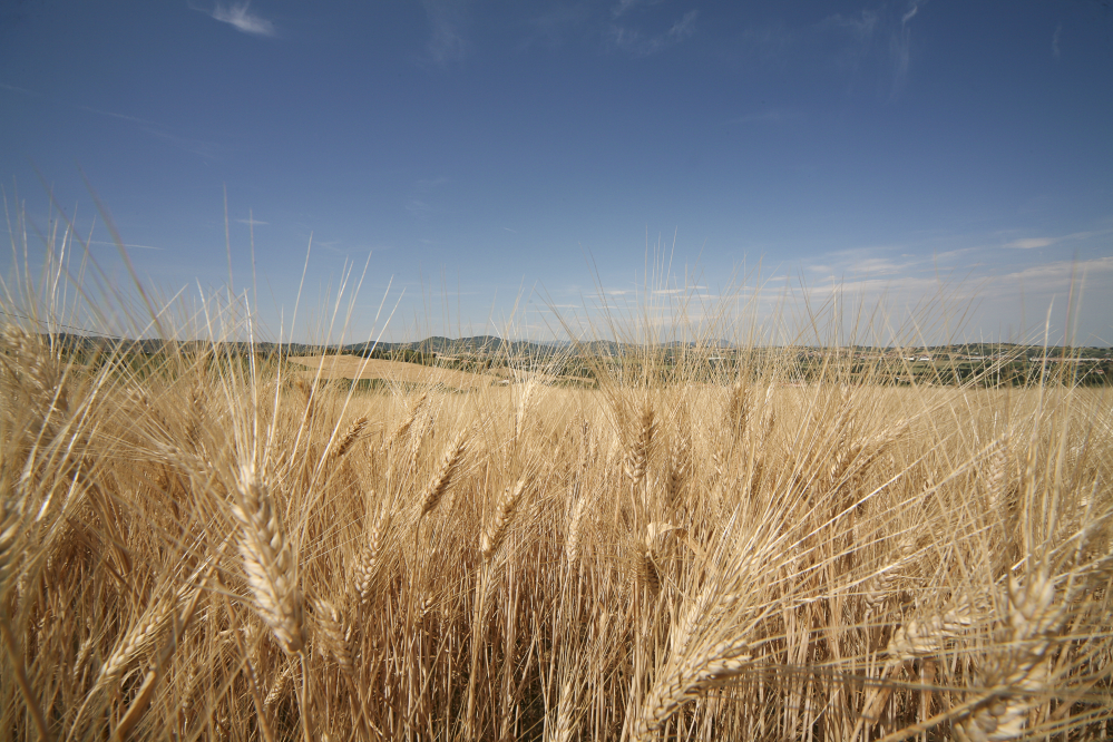 Campagna, San Giovanni in Marignano Foto(s) von PH. Paritani