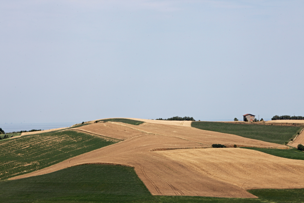 Campagna, San Giovanni in Marignano photos de PH. Paritani