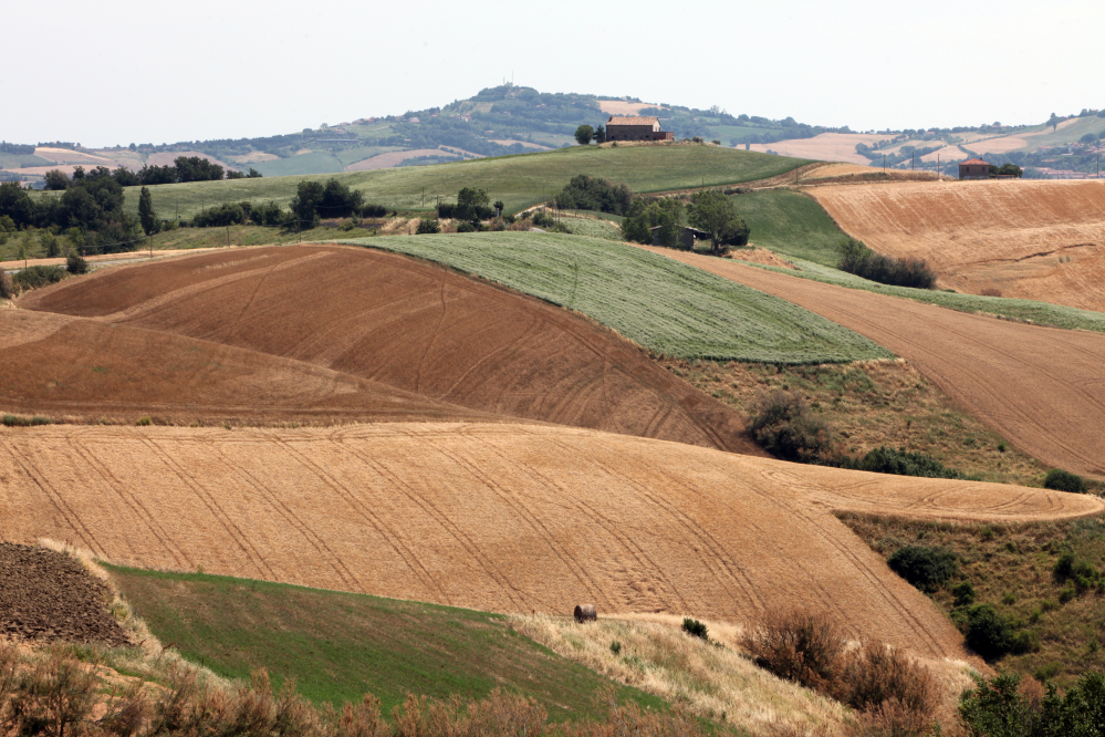 Countryside, San Giovanni in Marignano photo by PH. Paritani