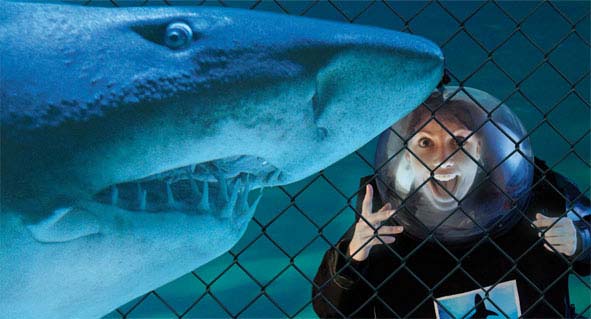 Cattolica, Acquario Le Navi Foto(s) von Archivio fotografico Acquario Le Navi