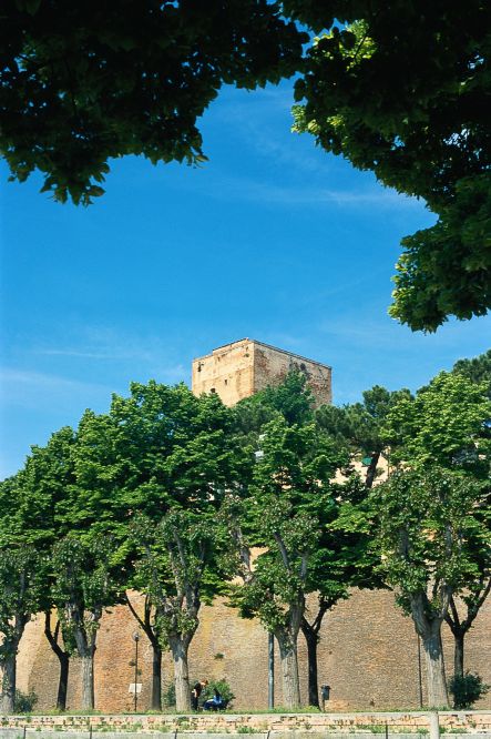 Rocca foto di T. Mosconi