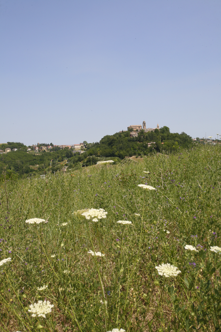 Campagna, Mondaino photos de PH. Paritani