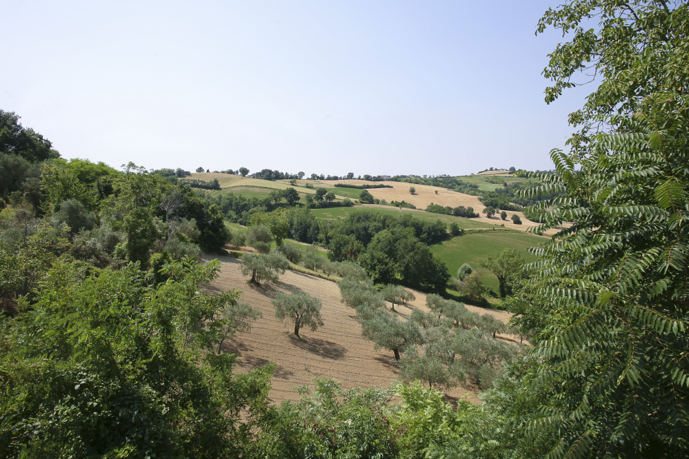 Cerreto di Saludecio foto di PH. Paritani